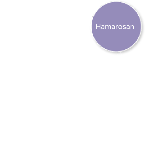 Szülészet és Nőgyógyászat